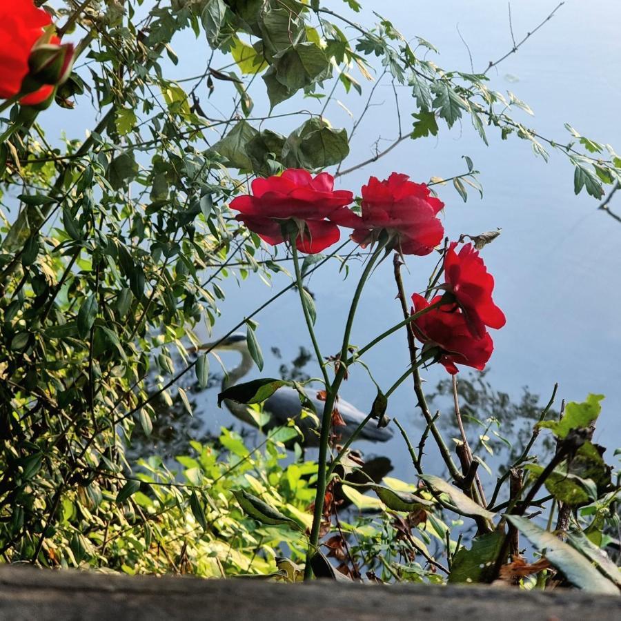 Altes Eishaus, Hotel & Restaurant Gießen エクステリア 写真